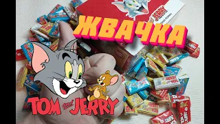 жвачка том и джерри/chewing gum tom and Jerry