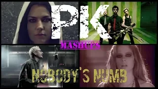 PK Mashups - Nobody's Numb [Punk Rock/Alternative Rock Mashup]