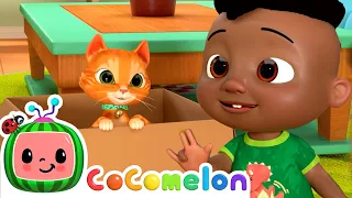 Cody's Finger Family | CoComelon - Cody's Playtime | Songs for Kids & Nursery Rhymes