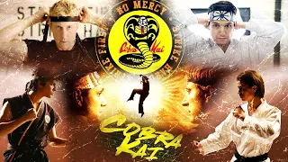 Cobra Kai Season 2 Episode 10:  Miguel vs  Robby Full Fight