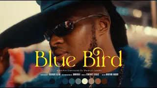 Cinematic Fashion Film "Blue Bird" - SONY A7III Slog2 4K