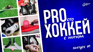 PROхоккей: Разница между хоккеем с мячом и шайбой