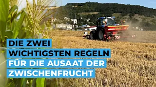 Die zwei wichtigsten Regeln für die Aussaat der Zwischenfrucht