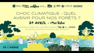 Choc climatique : Quel avenir pour nos forêts ?