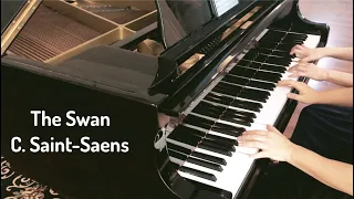 "The Swan" From Carnival Of The Animals by Saint-Saëns 생상 백조 | Piano Duet
