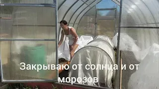 6 соток 24 мая 2024 года. Хроника.