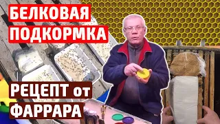 Белковая подкормка Рецепт Как давать Аномально теплые зимы