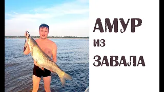 Подводная охота в завалах на белого амура. Волга август 2019.
