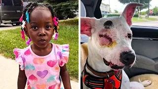 Dog Starts Shoving 3-Year-Old Away, Then Dad Looks Down And Realizes He Just Saved Her Life