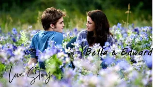 love story | bella & edward