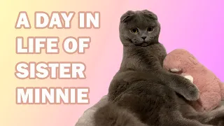 A Day in Life of Sister Minnie