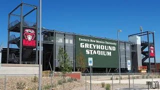 Greyhound Stadium Video Tour