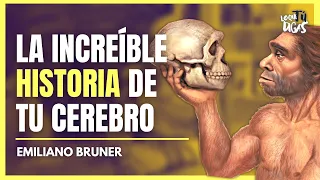 ¿Cómo Hemos Llegado a Ser SAPIENS? - Emiliano Bruner | Lo Que Tú Digas 325