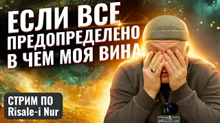 Предопределение и Личный Выбор, Есть ли Противоречия? | #ислам #судьба #религия #выбор