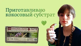 Кокосовый субстрат для улиток и прыткой ящерицы 💚