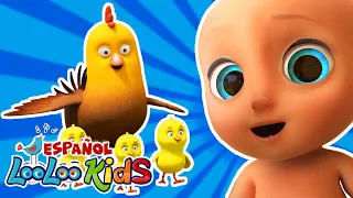 🎵 ¡Alegría con Los Pollitos! 🐤🎶🕒| Canciones infantiles LLK