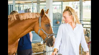 Young Riders S01 E24 A winner