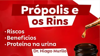 PRÓPOLIS e SAÚDE RENAL: Evidências Científicas