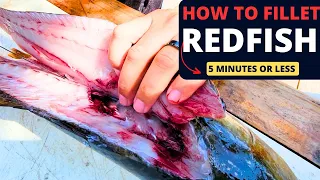 Beginner Guide To Saltwater Fishing: How to FILLET REDFISH in 5 MINUTES or LESS
