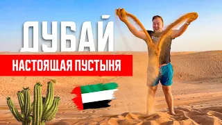 Дубай. Настоящая пустыня! Сафари на внедорожнике. Отдых ОАЭ