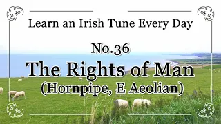 036 The Rights of Man (Hornpipe, E Aeolian) Learn an Irish Tune Every Day.