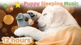 ☆ 12 HOURS ☆ Puppy Sleeping Music 🐶 ♫ Dog Relaxation Music ♫ Dog Sleep Music ♫ Puppy Music ♫ Calming