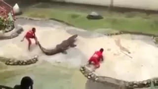 Why You Never Stick Your Head In A Croc's Mouth