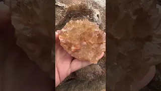 Large quartz crystals from Missouri