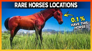 Get RARE Red Chestnut Arabian Horse Locations - RDR2 Rare & Special Horse Guide