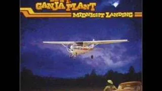 10 Ft. Ganja Plant - Midnight Landing