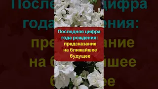 Последняя цифра года рождения: предсказание на ближайшее будущее