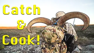 Aoudad CATCH & COOK! {SPOT & STALK HUNTING TEXAS}