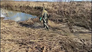 Beaver dam removal || Culvert is free to go. Dam released the water.