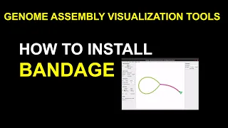 Bandage Tutorial - how to install bandage in linux for genome assembly visualization