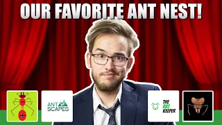 OUR FAVORITE ANT NEST! | The Ant Holleufer Ant Show #4