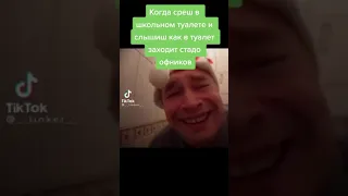 тик ток какает