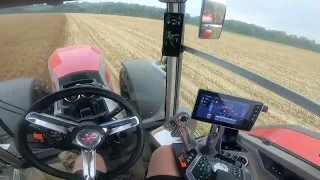 Massey Ferguson 8S.265 & Opall Agri Europa II | POV | Driver View | GoPro | Farma Dobosz