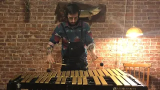 "The Simpsons Theme" Vibraphone Cover