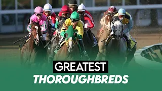 Legends of Horse Racing: TOP 10 Greatest Thoroughbreds of All Time