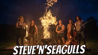 Steve'n'Seagulls - Thunderstruck (Maximus Festival)