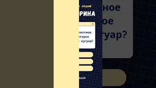 Сможешь ответить на 6 из 6?