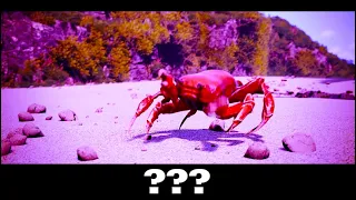 15 Crab Rave Sound Variations in 60 Seconds