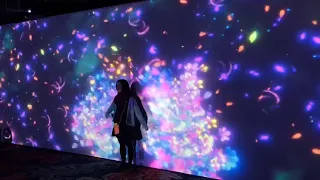 interactive wall projection flower content