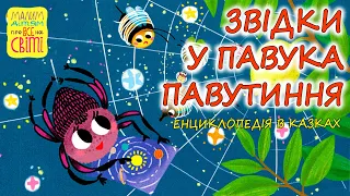 🎧АУДІОКАЗКА - "ЗВІДКИ У ПАВУКА ПАВУТИННЯ" Енциклопедія в казках | Цікаві книги дітям українською 💙💛