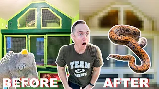 My Animal House Gets An EXTREME Makeover!!! | Plus Alligator Update!