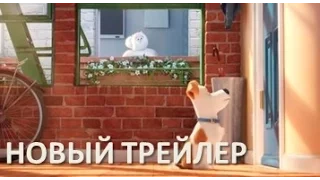 ТАЙНАЯ ЖИЗНЬ ДОМАШНИХ ЖИВОТНЫХ (2016). Новый ролик.