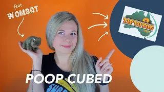 Why do WOMBATS poop cubes? | Anniversary!!!🥳 #tiptotoe2022