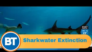 Honoring late filmmaker of 'Sharkwater' Rob Stewart