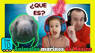 🇪🇦Españoles alucinan con el top 10 animales marinos de México /REACCION A MEXICO.