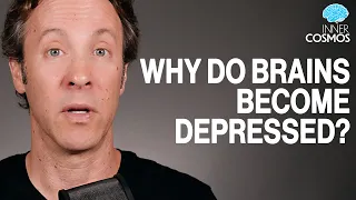 Ep 48: Why do brains become depressed? | INNER COSMOS WITH DAVID EAGLEMAN